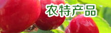 ũزƷ